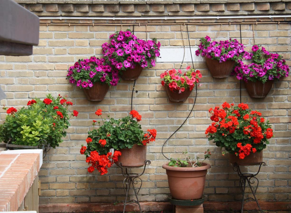 Apartmán Murano Garden House Exteriér fotografie